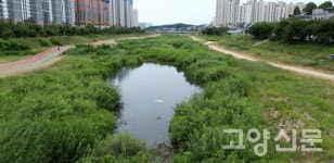 북한산 효자비부터 덕양산 진강정까지, 창릉천변에 저장된 역사의 흔적들