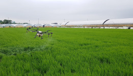 송포농협, 농지 140만 평 드론 공동방제