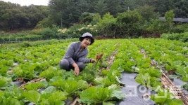 초등학생 외손자들이 돕는 8천평 농사, 고단함 잊어