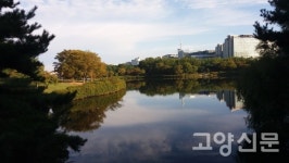 호수공원 작은도서관