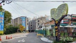 카페·먹거리 30년 명소 백마 애니골... 우후죽순 빌라촌으로 전락하나
