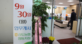 신도농협 향동지점 이전 개점