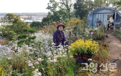야생화 피고지는 힐링공간 가꿔요