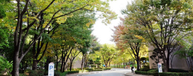 백마마을 4단지, 텃밭 가꾸고 인사 나누며 오순도순