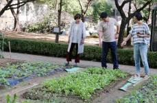 백마마을 4단지, 텃밭 가꾸고 인사 나누며 오순도순