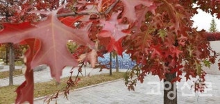 누리길 함께 걸으며 몸으로 느낀 고양의 자연과 역사