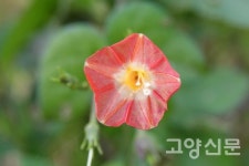 자전거문화 보급하고 하천 생태 지키고… 바쁘지만 보람찹니다