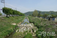 자전거문화 보급하고 하천 생태 지키고… 바쁘지만 보람찹니다