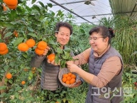 식물과 교감하는 고양시 1호 농촌치유농장