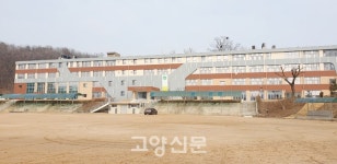 하고픈 거 맘껏 해보렴, 너의 길이 보일거야