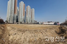 고양시, 버려진 나무 모아 도심 숲 만든다