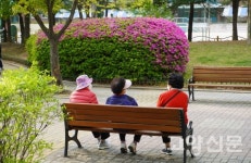 불안과 우울의 시간… 공원이 없었다면 어떻게 견뎠을까