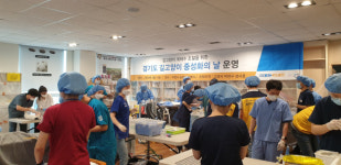 10일 성사동서 길고양이 50마리 중성화 진행