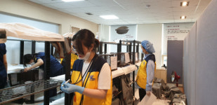 10일 성사동서 길고양이 50마리 중성화 진행