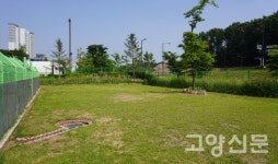 고양시동물보호센터 뒷마당 반려견 쉼터 조성
