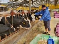 흥 넘치는 트로트로 젖소 산유량 증가