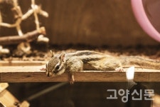 여름에도 온가족 나들이는 역시 쥬라리움