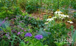 하늘 숲 흙의 정령이여… 자유농장에 머무소서