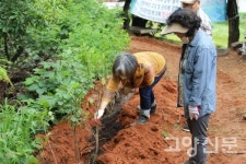 당신에겐 아는 나무가 있나요?