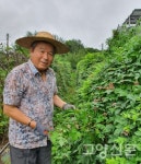 서예로 마음농사도 지어요