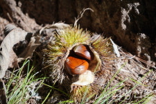 가을 숲 오솔길이 건넨 무념무상 한나절