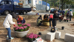 효자동은 지금 가을 꽃길로 변신 중