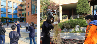 지도농협, 토당초등학교 스쿨팜 벼 수확체험 펼쳐