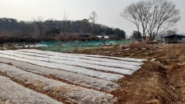 [김한수] 농장에서 받은 선물