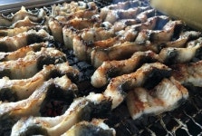 쫄깃하고 고소한 국내산 장어 장어가