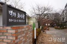 숲속의 섬이 화사랑? 명백한 왜곡이다