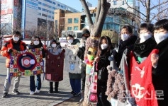 일산문화공원 가로수 예쁘고 따뜻한 손뜨개옷 입었어요