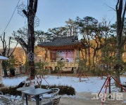 47세에 시인으로 등단했어요