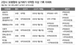 덕양–삼송·원흥·지축, 일산–킨텍스지구·백석동 요진에서 대장아파트 생겨나  
