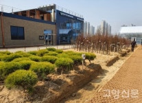 삼손농.임산물판매장 | '산림조합 나무판매장' 11월까지 상설전시판매
