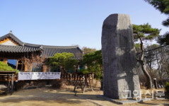 너른마당 연못 두꺼비들이 알을 가득 낳았어요