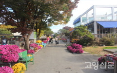 로봇이 춤추고 드론이 날아오르고… 동물원이 미래기술과 만났어요