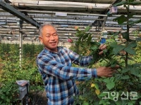 꽃 키우다 KB금융그룹 광고 모델 됐어요