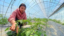 청년농부도 오고 싶어하는 온라인쇼핑몰 일산팜 엽니다