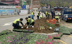 고양동, 마을 꽃길 가꾸었습니다