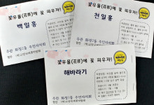 화정2동 주민들의 마음에도 꽃을 피워요!