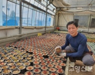 생선뼈 닮은 피쉬본 다육식물을 아시나요?