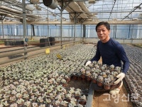 생선뼈 닮은 피쉬본 다육식물을 아시나요?