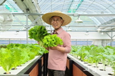 유기농 채소값의 5배!… 잉어가 키운 쌈채소 마음껏 맛보세요