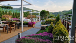 유기농 채소값의 5배!… 잉어가 키운 쌈채소 마음껏 맛보세요