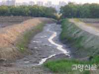 장항습지, 드디어 람사르습지 등재… 시민과 고양시가 함께 일군 쾌거