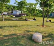 삼손농.임산물판매장 | 숲으로 가는 길을 지나면 숲내음 진한 녹색 쉼터가 반기네