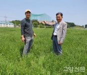 200두 젖소 키우는 아버지와 아들