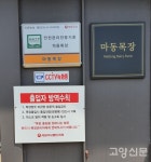 200두 젖소 키우는 아버지와 아들