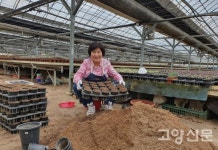 71세 나이에도 봉사는 삶의 행복