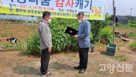 알알이 사랑담긴 사랑나눔 감자캐기